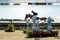 Harrys Charles Claims a Podium Placing in the Rolex Grand Prix at the Royal Windsor Horse Show